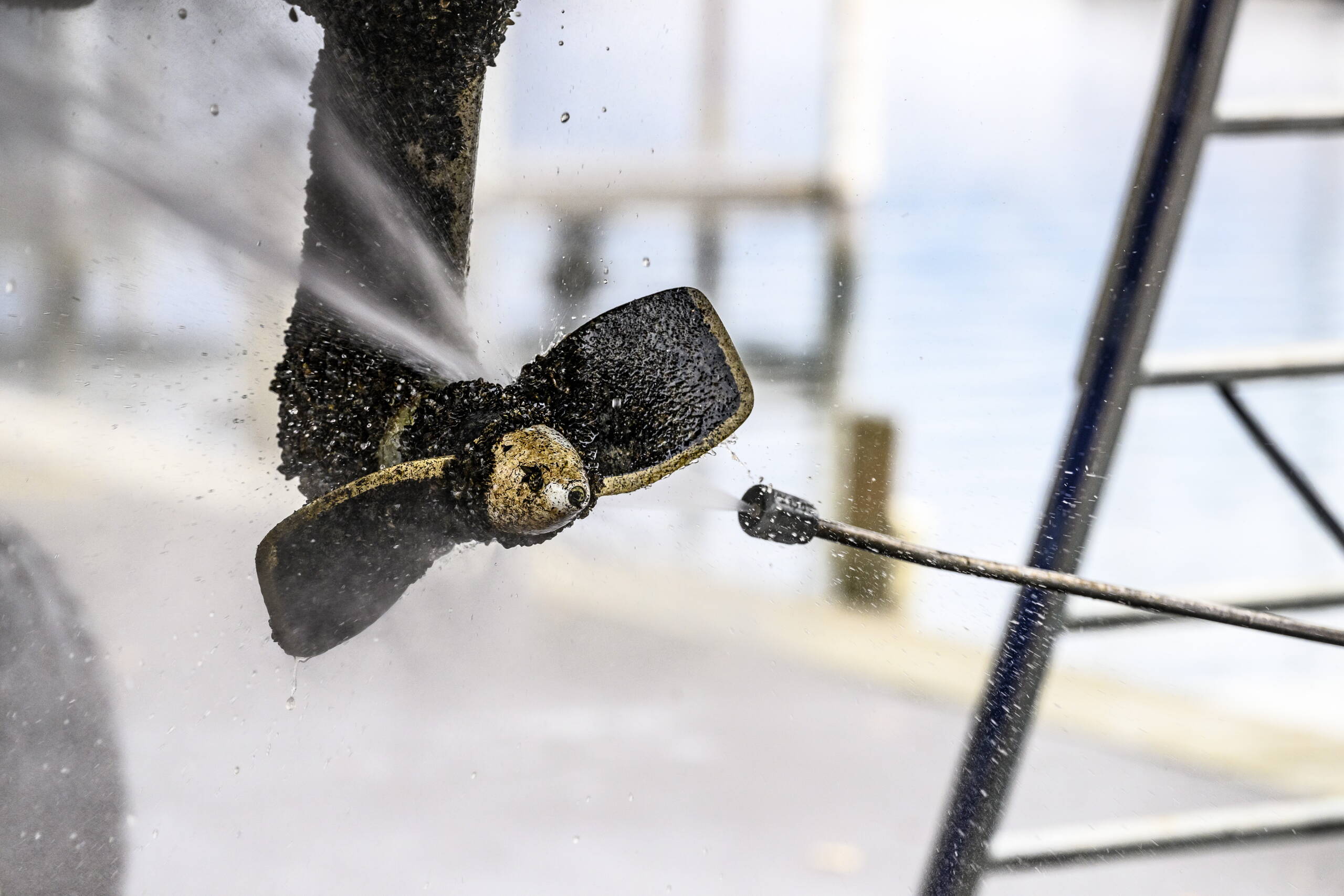 Zoom: ab241111-n-123.jpg